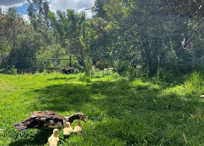 1 Bedroom Country With Garden And Mountain View Casa de férias *